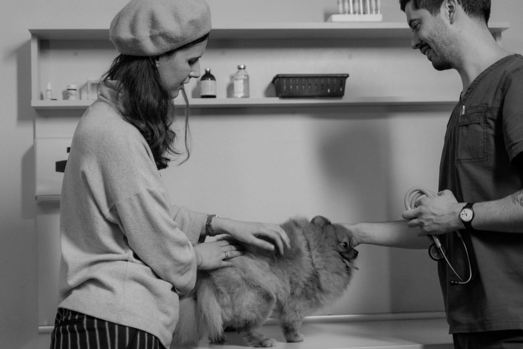 Marketing para veterinarias: cómo atraer más dueños de mascotas
